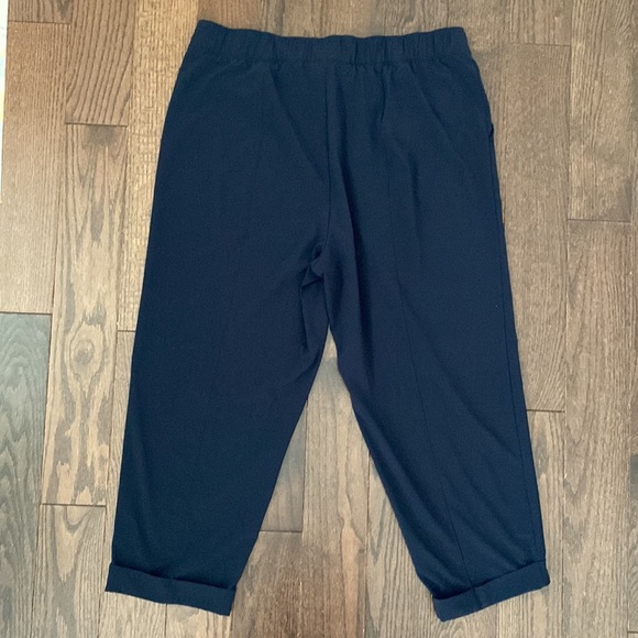 Talbots The Everywhere Pants - Picture 3 of 7